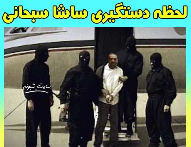 ساشا صبحانی